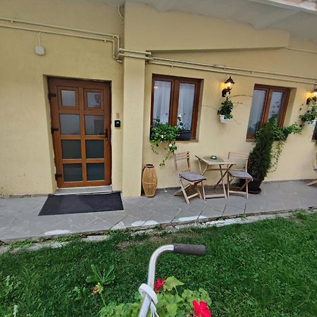 Central Garden Apartments Braşov Dış mekan fotoğraf