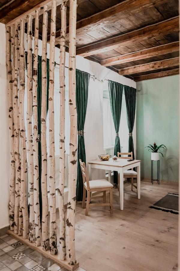 Central Garden Apartments Braşov Dış mekan fotoğraf