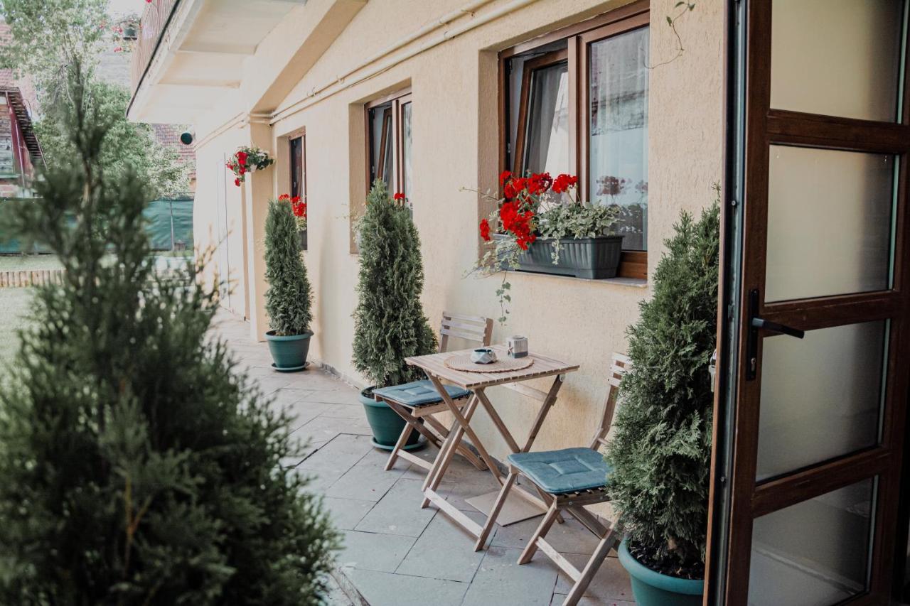 Central Garden Apartments Braşov Dış mekan fotoğraf