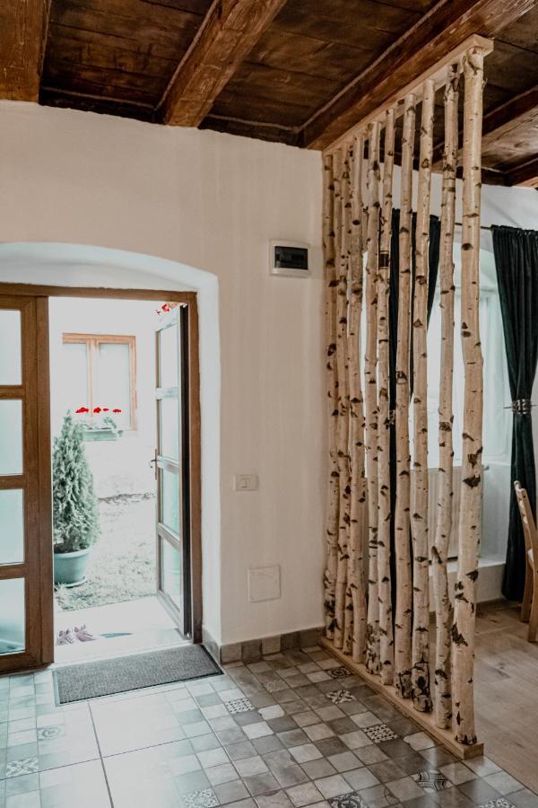 Central Garden Apartments Braşov Dış mekan fotoğraf