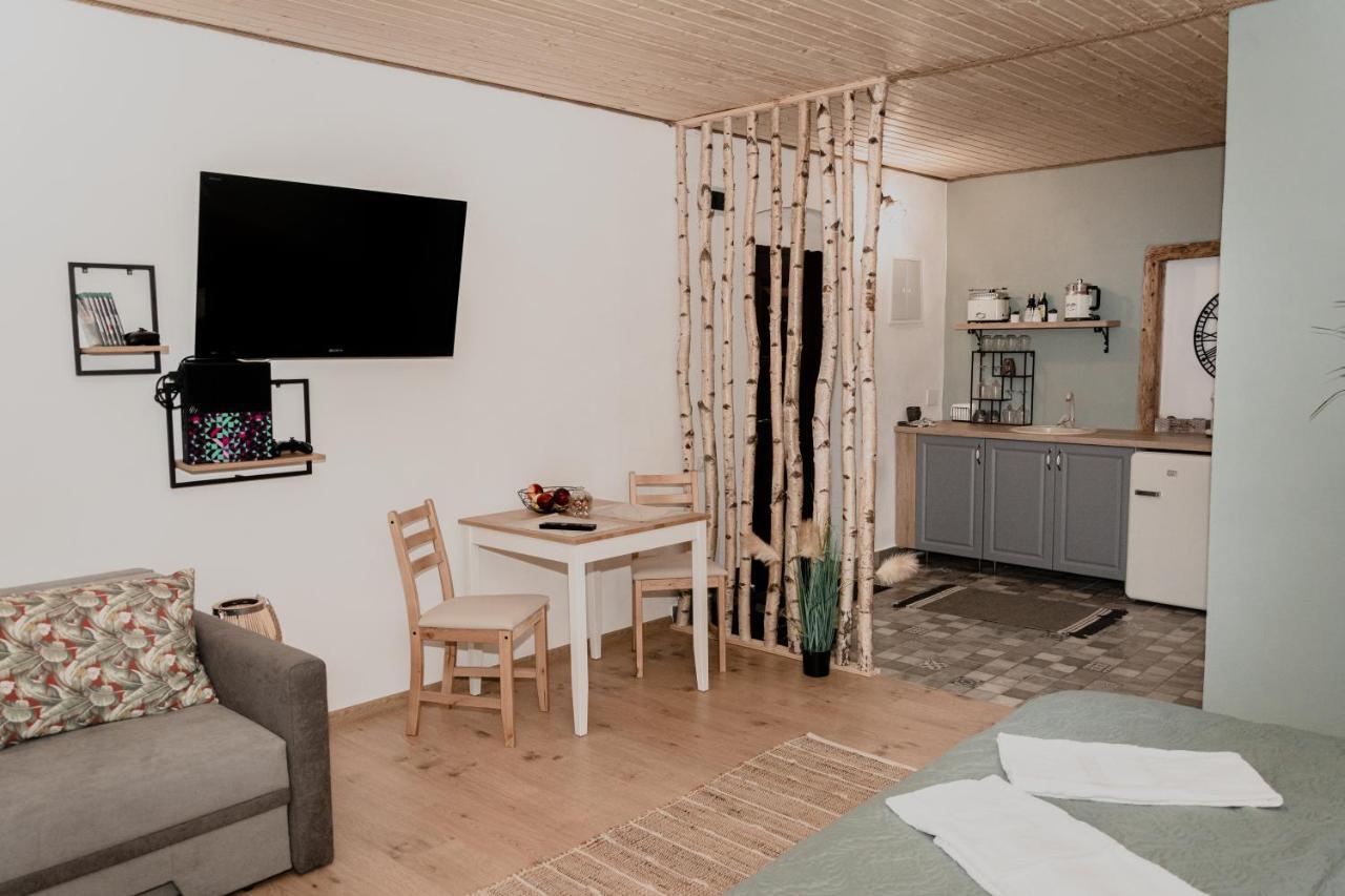 Central Garden Apartments Braşov Dış mekan fotoğraf