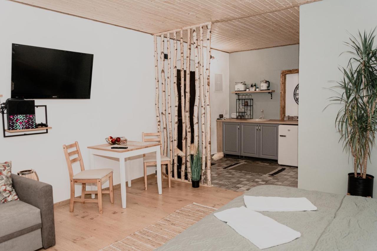 Central Garden Apartments Braşov Dış mekan fotoğraf