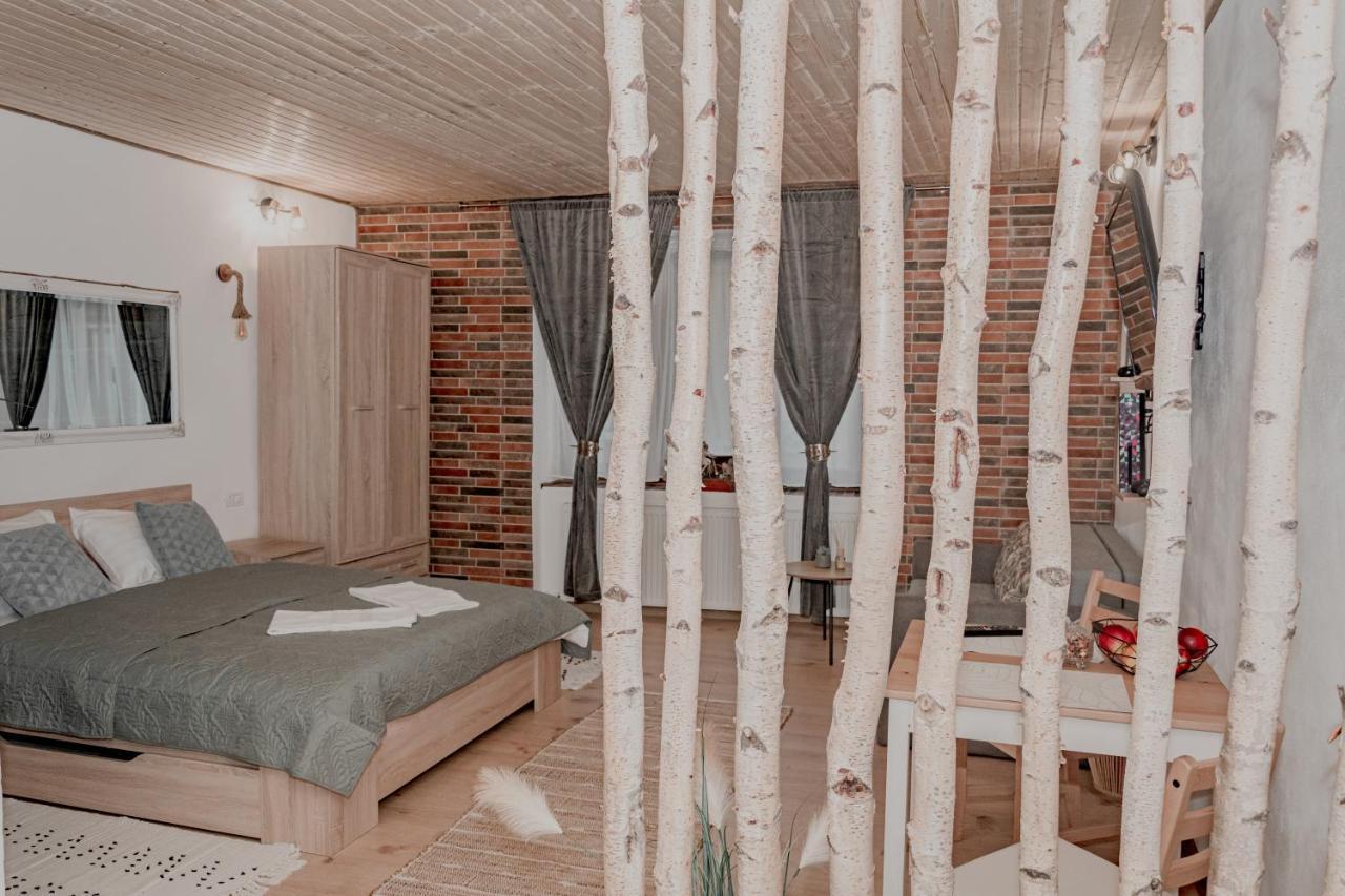 Central Garden Apartments Braşov Dış mekan fotoğraf