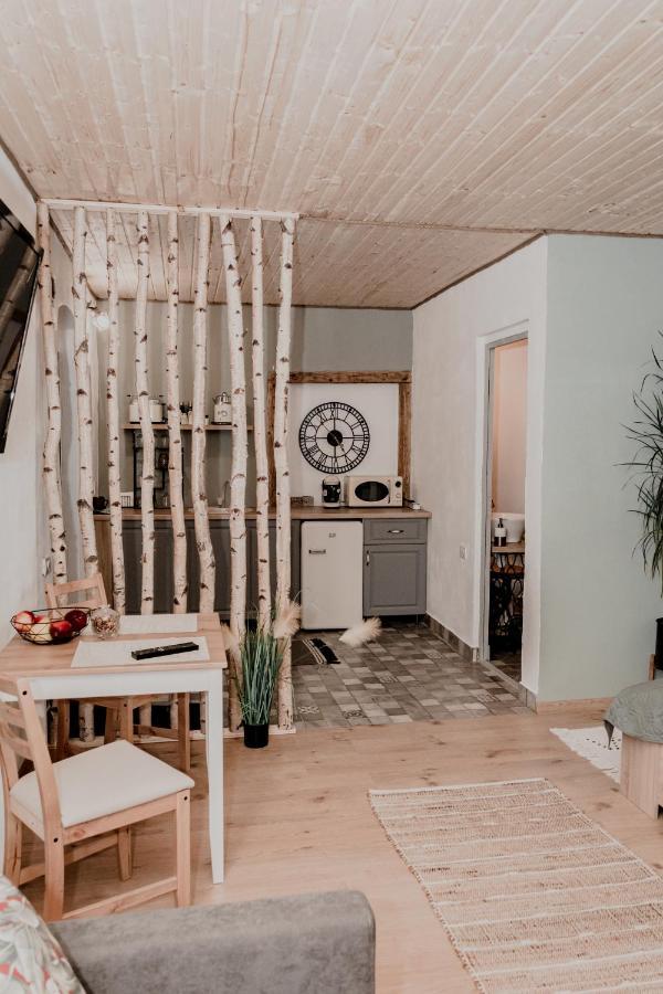 Central Garden Apartments Braşov Dış mekan fotoğraf